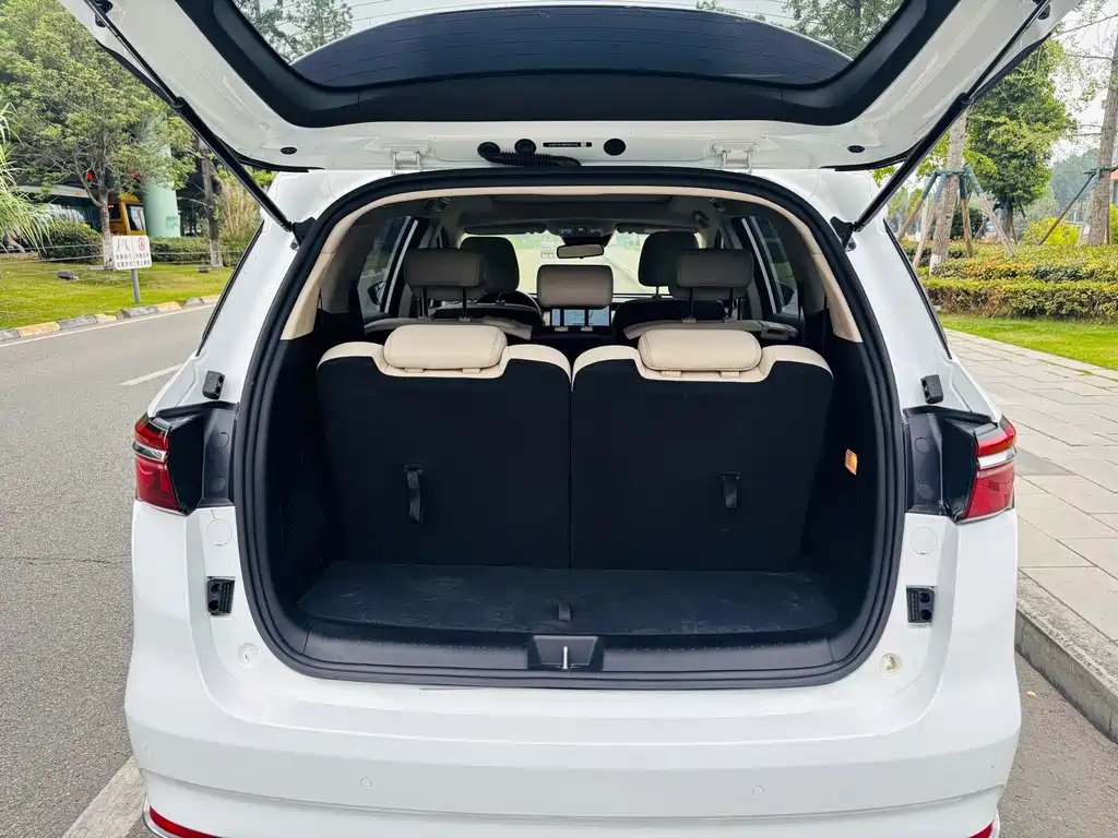 BYD Song MAX New Energy 2022 — фото 14