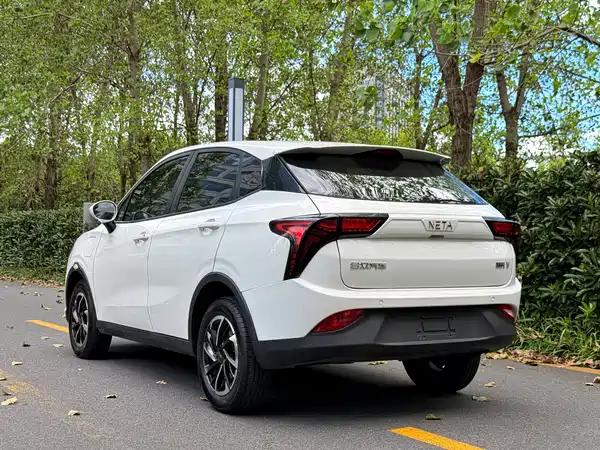 Neta V 2021
