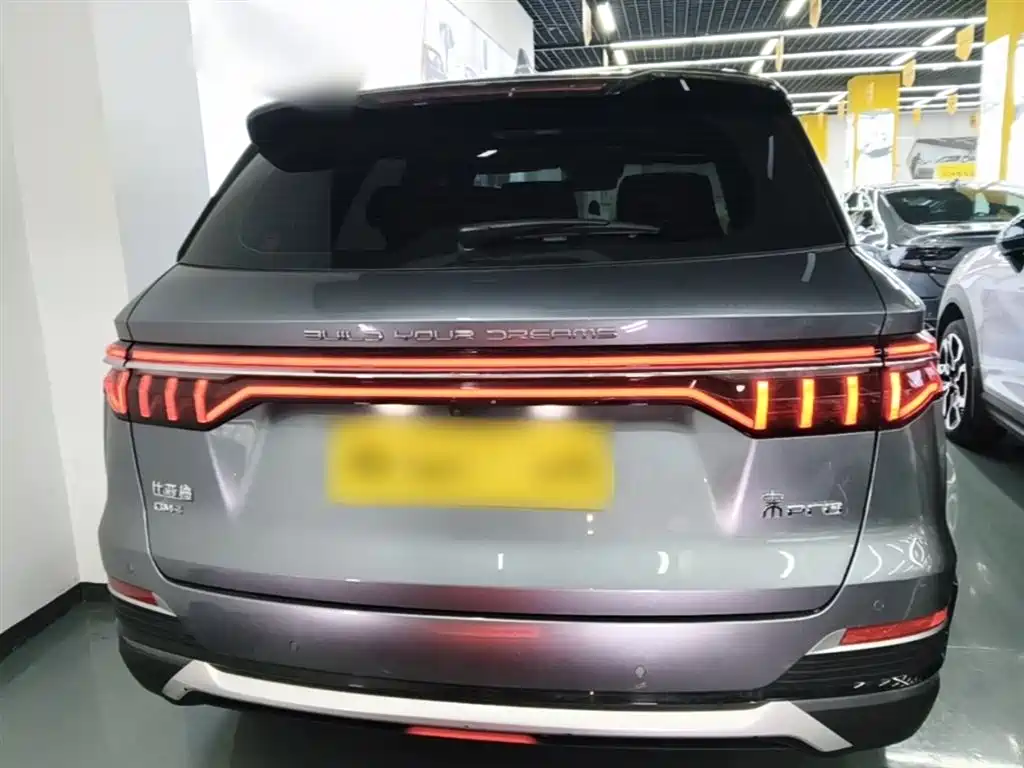 BYD Pro New Energy 2023 — фото 6