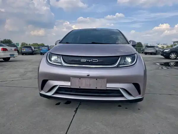 BYD Dolphin 2022
