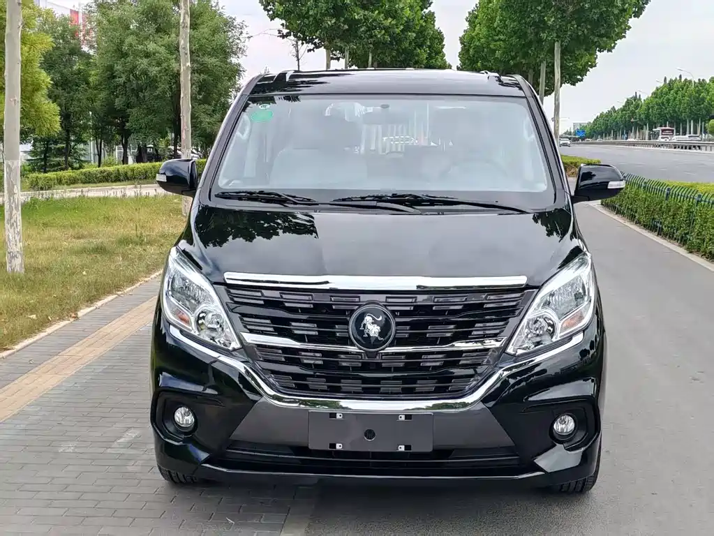 Fengxing Lingzhi PLUS 2026