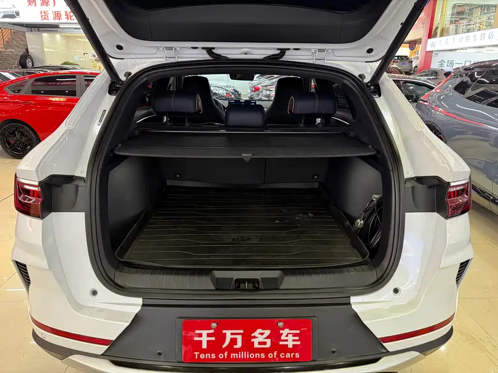 BYD Song PLUS New Energy 2023 — фото 31