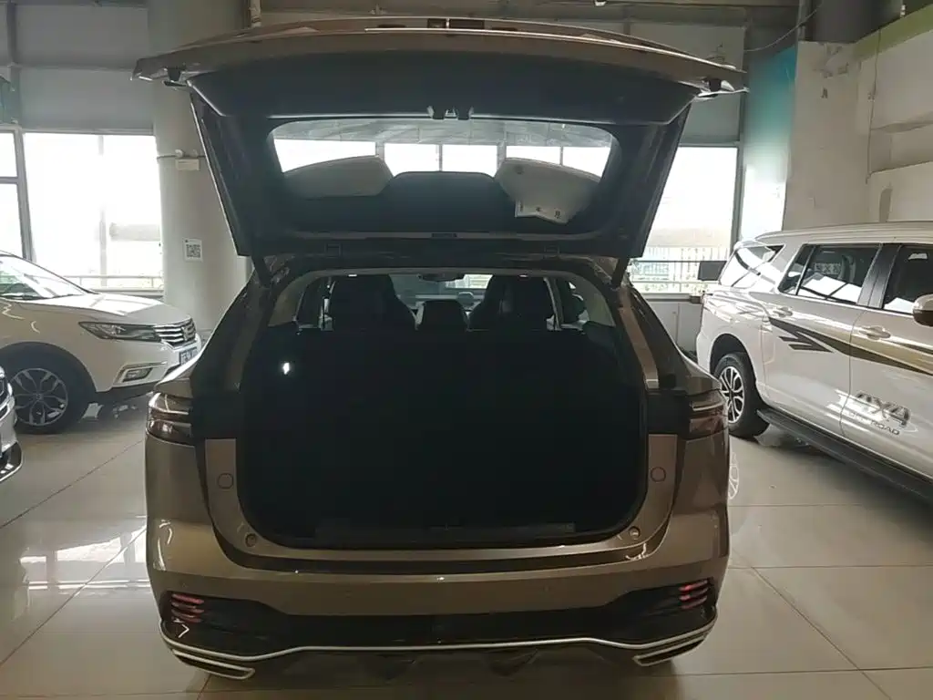 Roewe RX5 New Energy 2023 — фото 19
