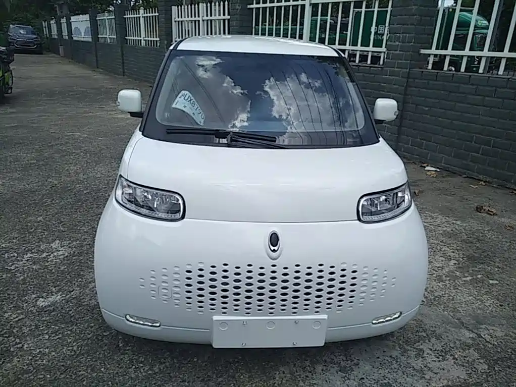Ora White Cat 2020
