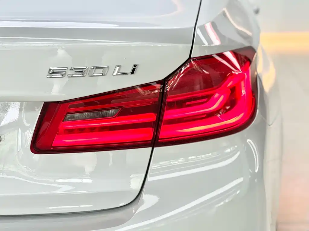 BMW 5 Series 2019 — фото 18
