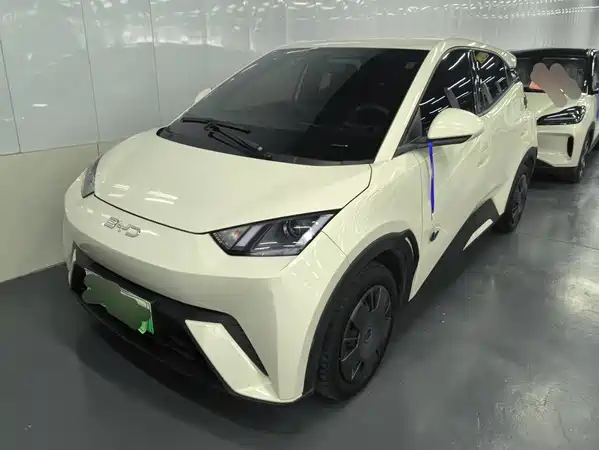 BYD Seagull 2025