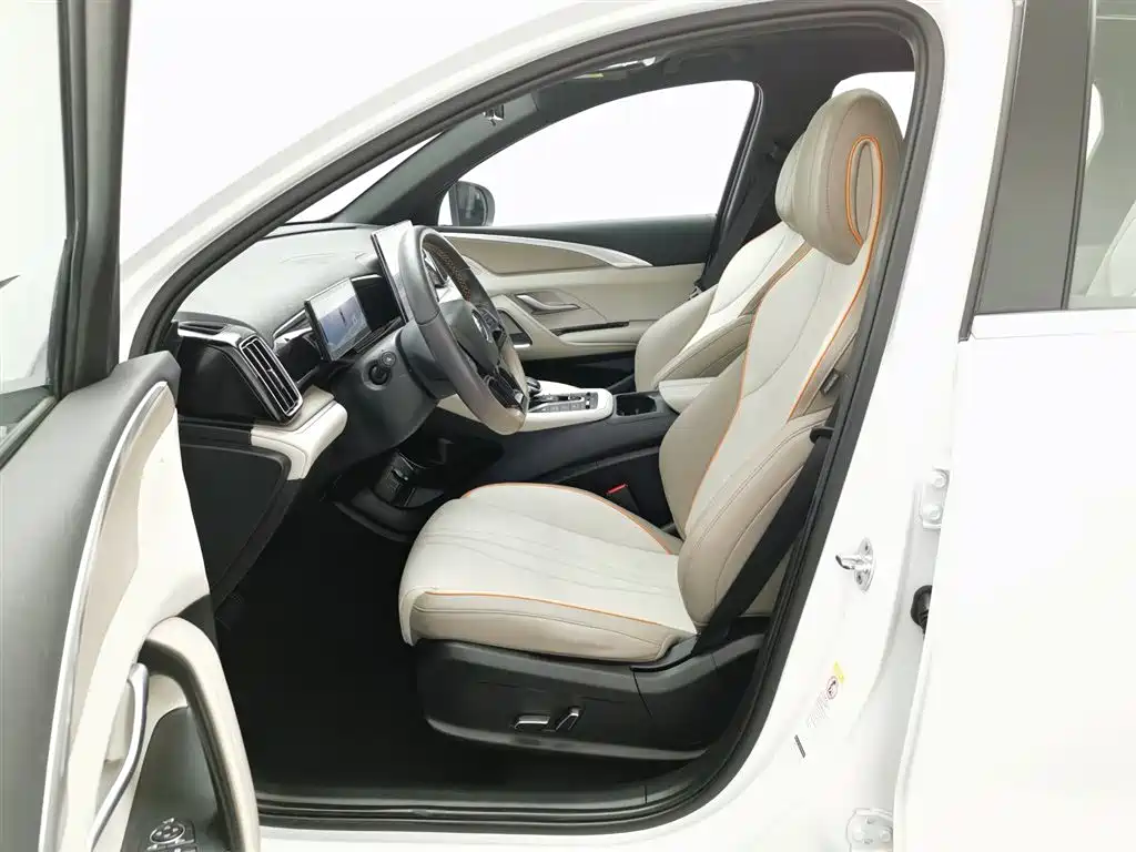 BYD Pro New Energy 2024 — фото 10