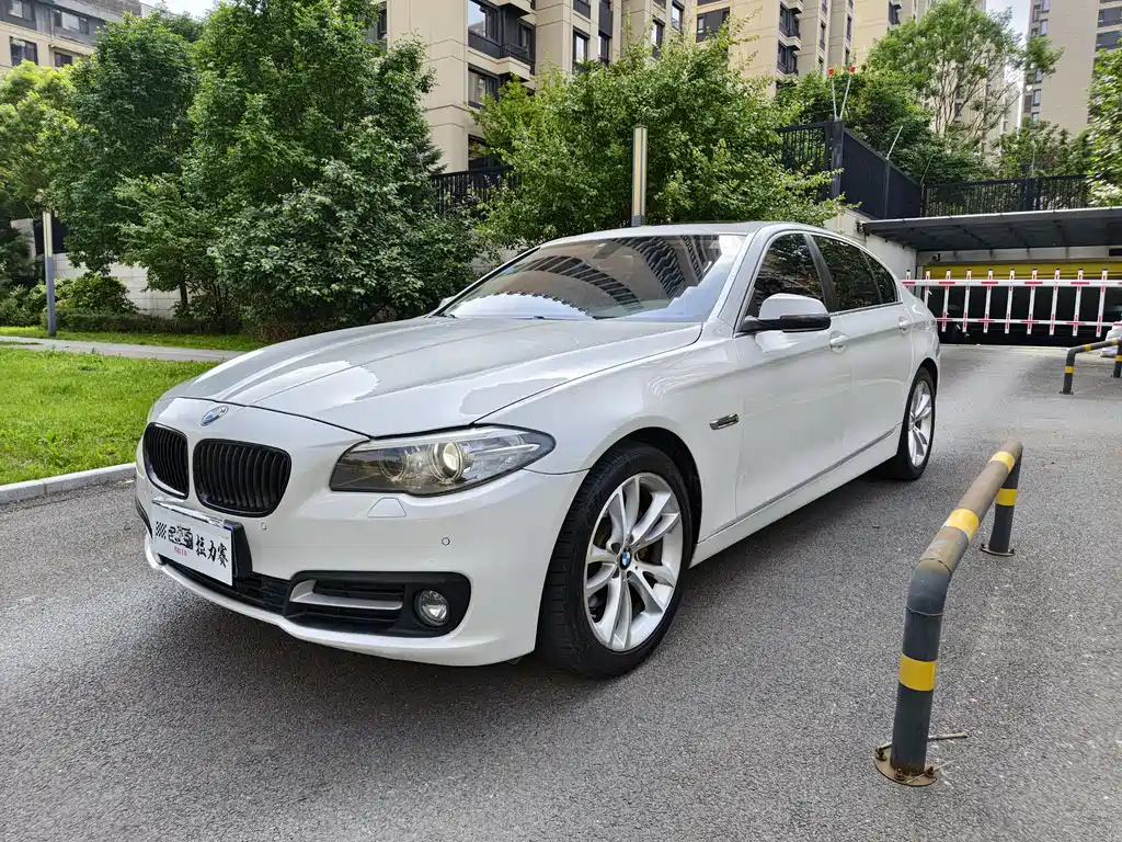 BMW 5 Series 2014 — фото 1