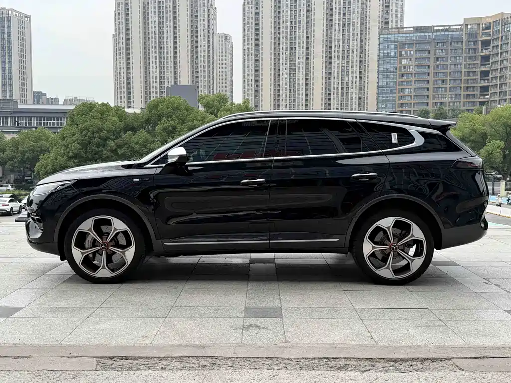 Denza X 2021