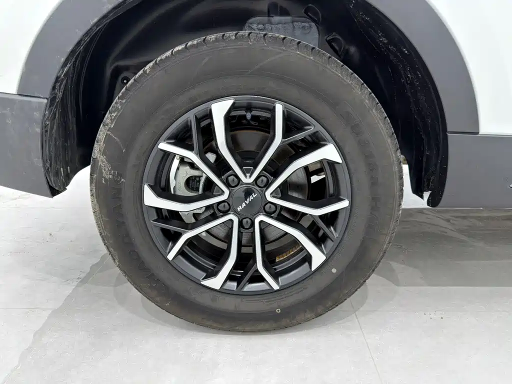 Haval H6 2023 — фото 18