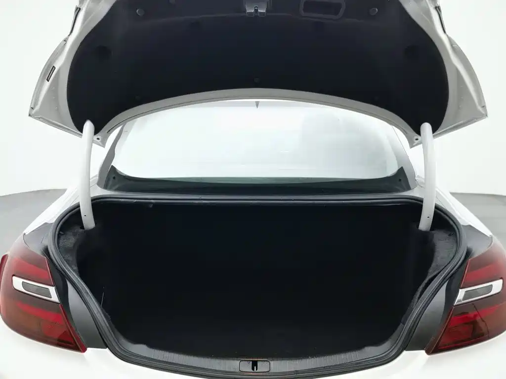 Buick Regal 2017 — фото 16