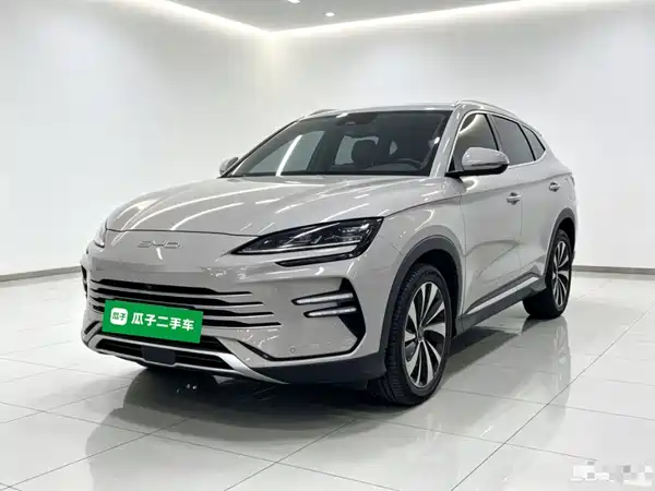 BYD Song PLUS New Energy 2023