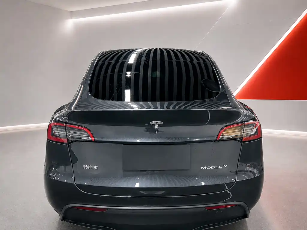 Tesla Model Y 2024 — фото 5
