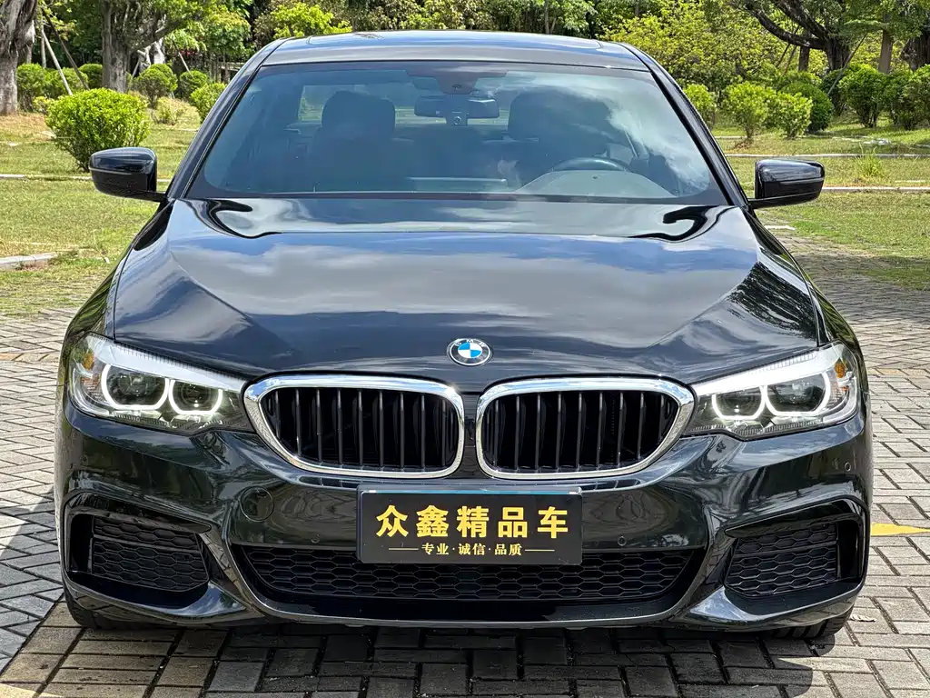 BMW 5 Series 2020