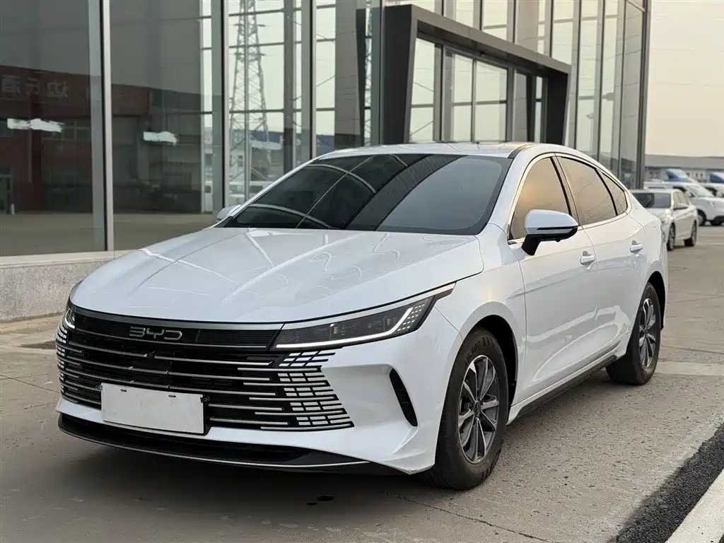 BYD Destroyer 05 2024