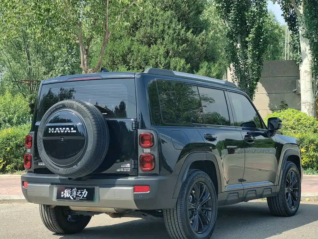 Haval Menglong New Energy 2024