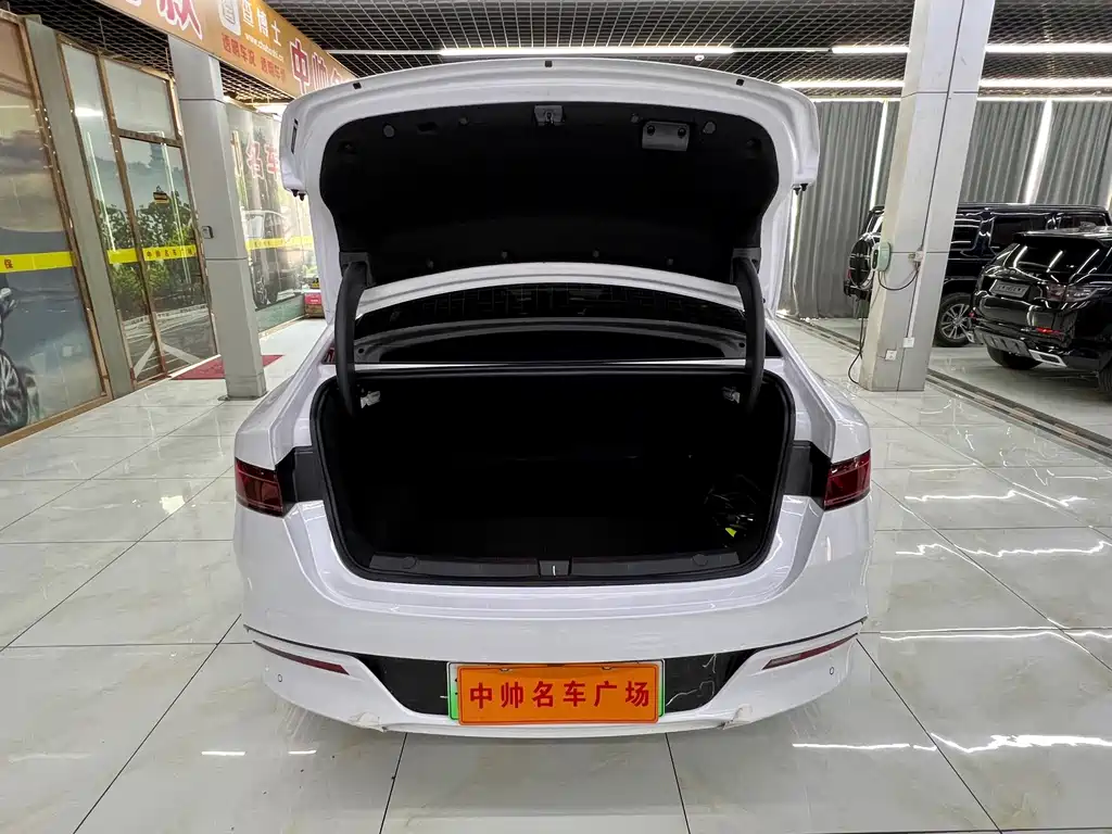 BYD Qin PLUS 2024 — фото 8