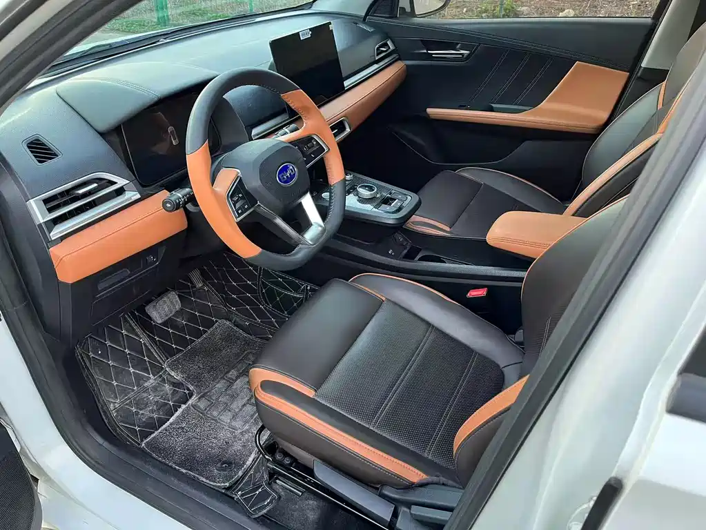 BYD e2 2020