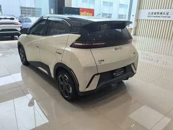 BYD Seagull 2024