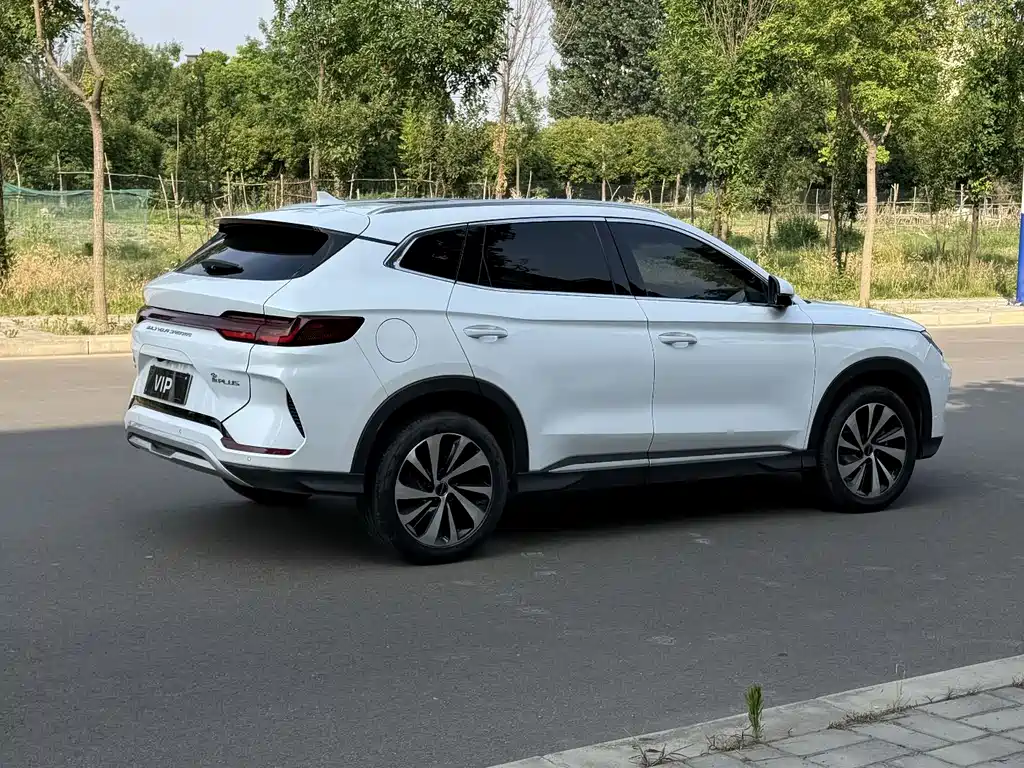 BYD PLUS New Energy 2024 — фото 6