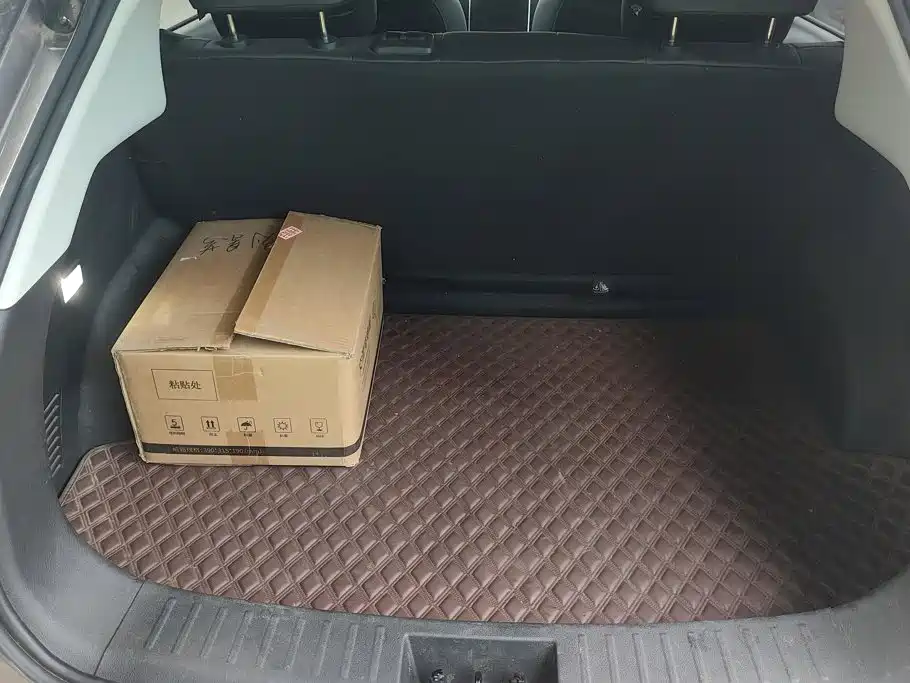 Neta V 2023