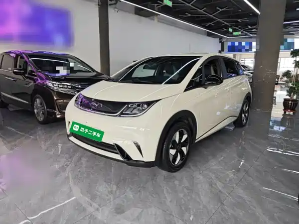 BYD Dolphin 2024