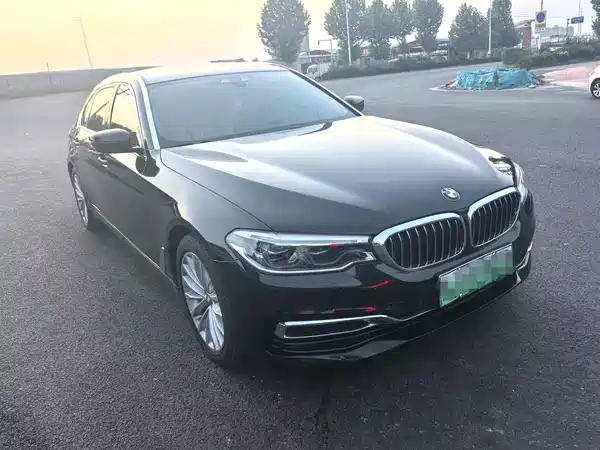 BMW 5 Series New Energy 2020