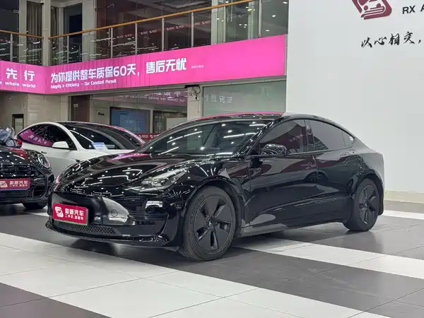 Tesla Model 3 2021