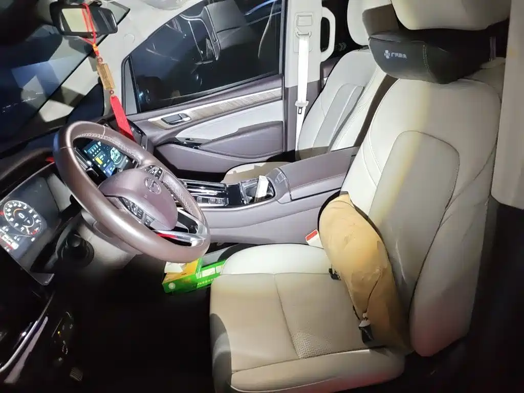 GAC Trumpchi M8 2021 — фото 16