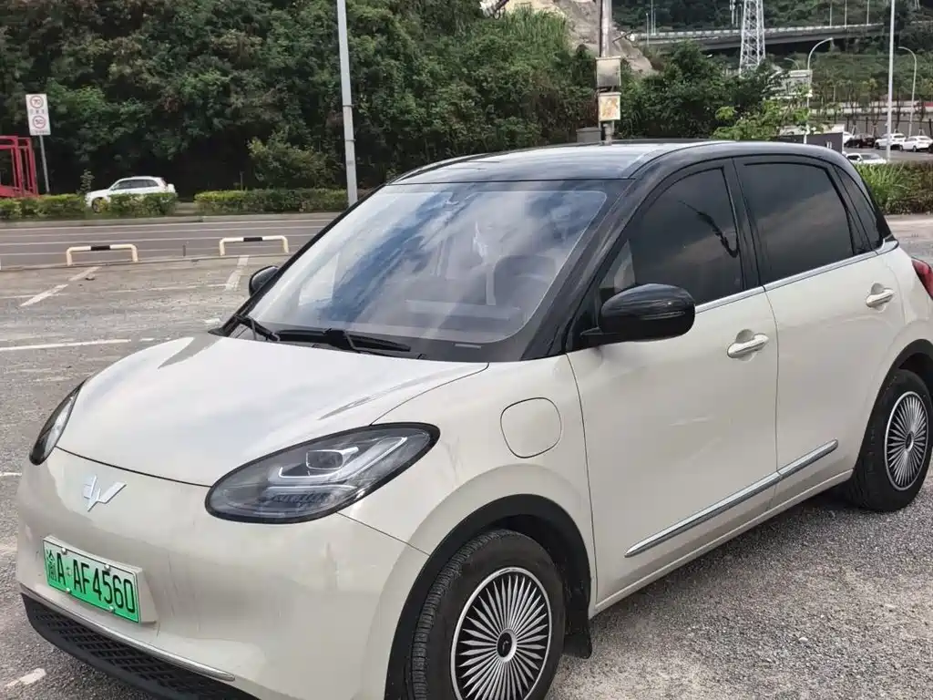 Wuling Bingo 2024