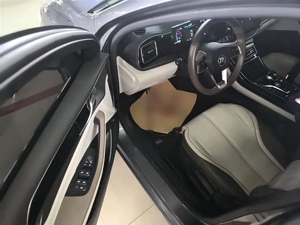 BYD Qin PLUS 2024 — фото 16
