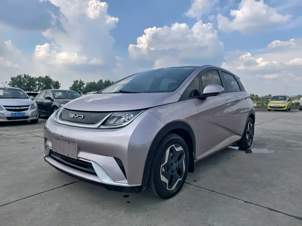 BYD Dolphin 2022