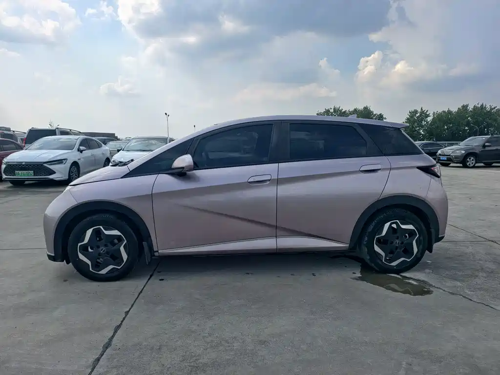 BYD Dolphin 2022