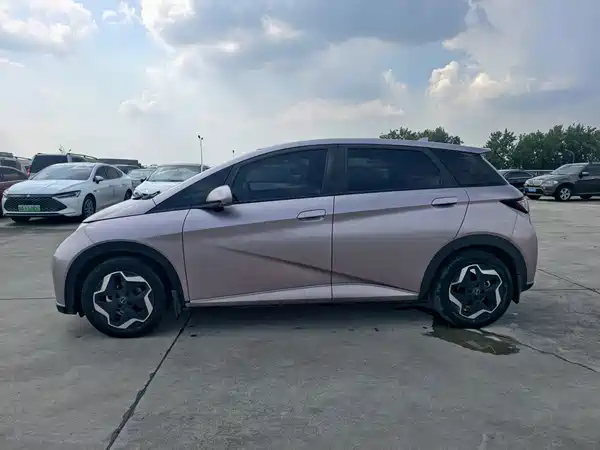 BYD Dolphin 2022