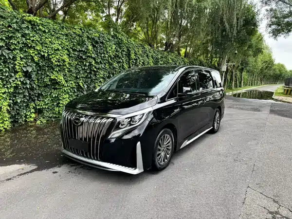 GAC Trumpchi M8 2022