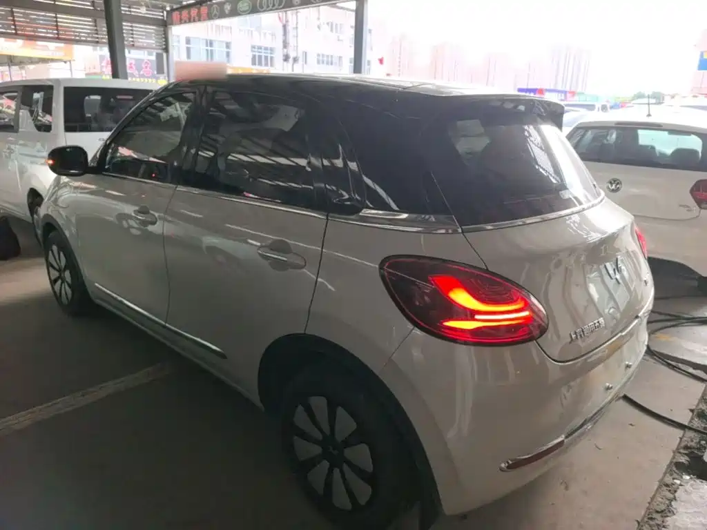 Wuling Bingo 2024