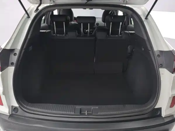 Honda XR-V 2022