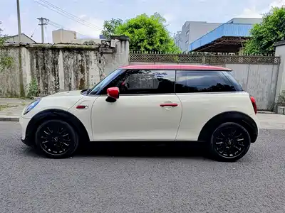 MINI MINI 2019