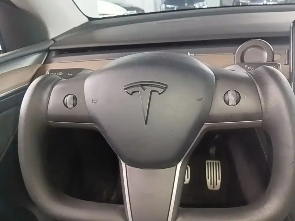Tesla Model Y 2021 — фото 11