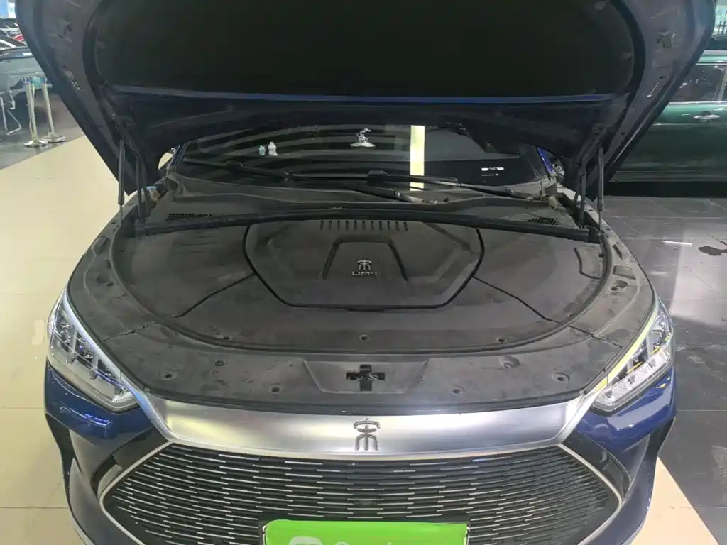 BYD Song PLUS New Energy 2023 — фото 20