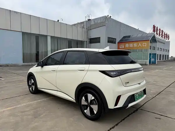 BYD Dolphin 2024