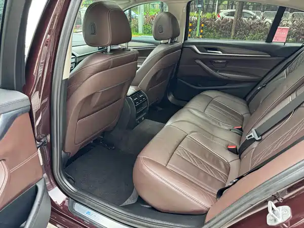 BMW 5 Series New Energy 2020