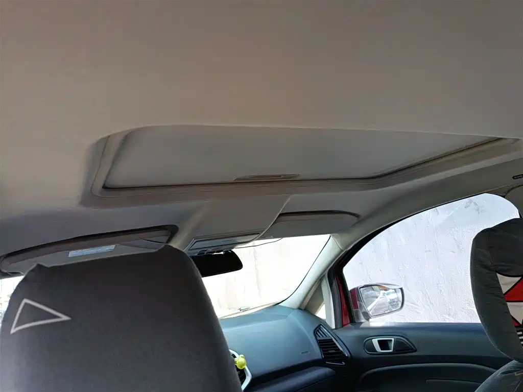 Ford Ecosport 2015 — фото 9