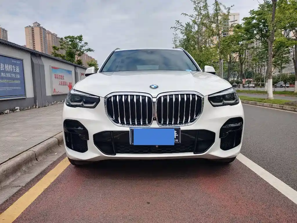 BMW X5 2022 — фото 2