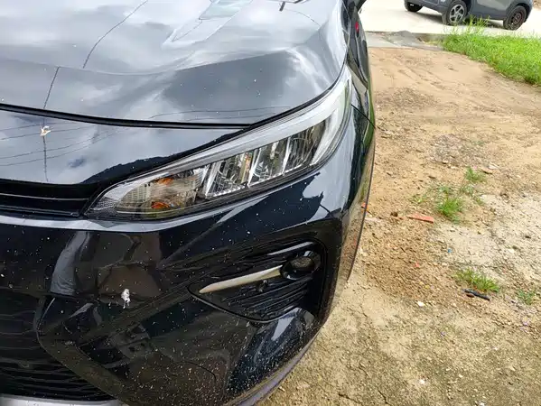 Toyota Wildlander 2022