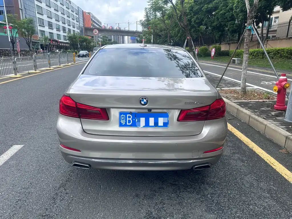 BMW 5 Series 2019