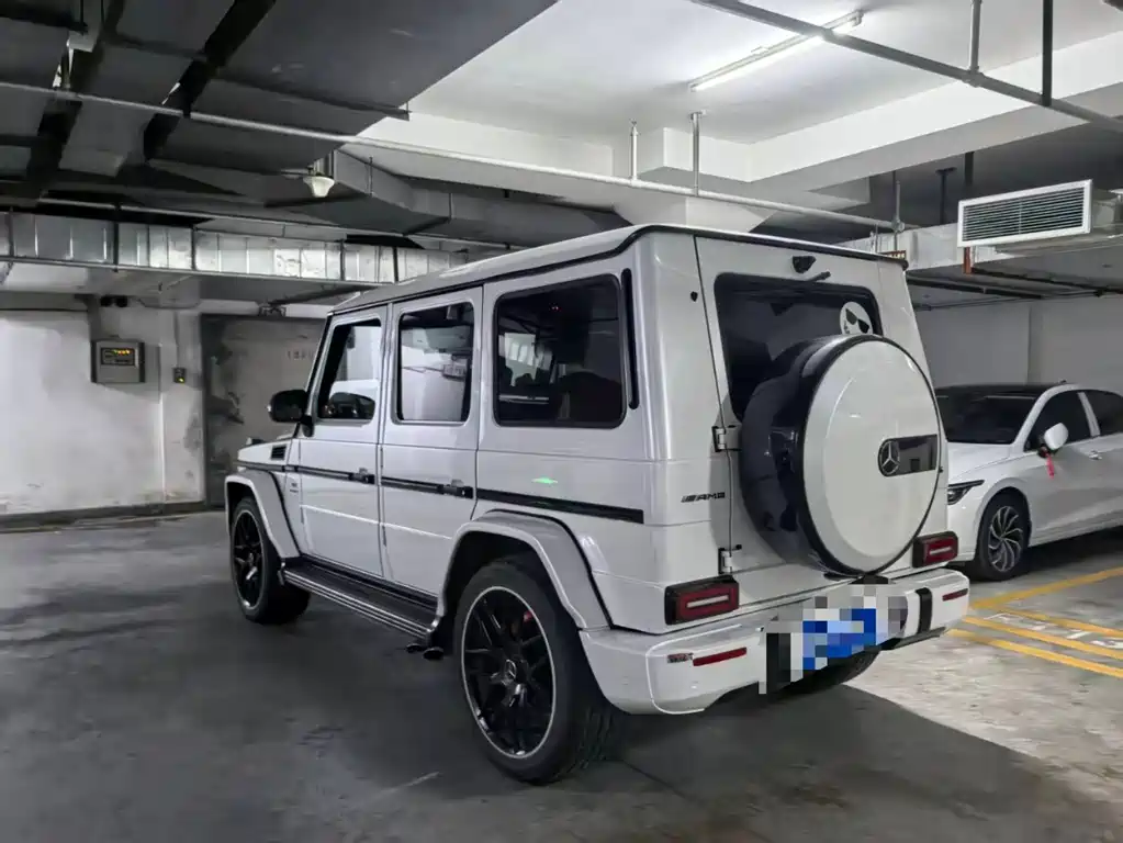 Mercedes-Benz G-Class AMG 2010
