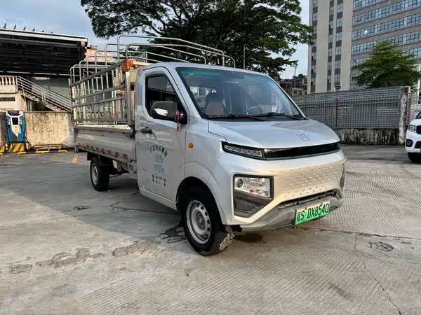Farizon F1E 2024
