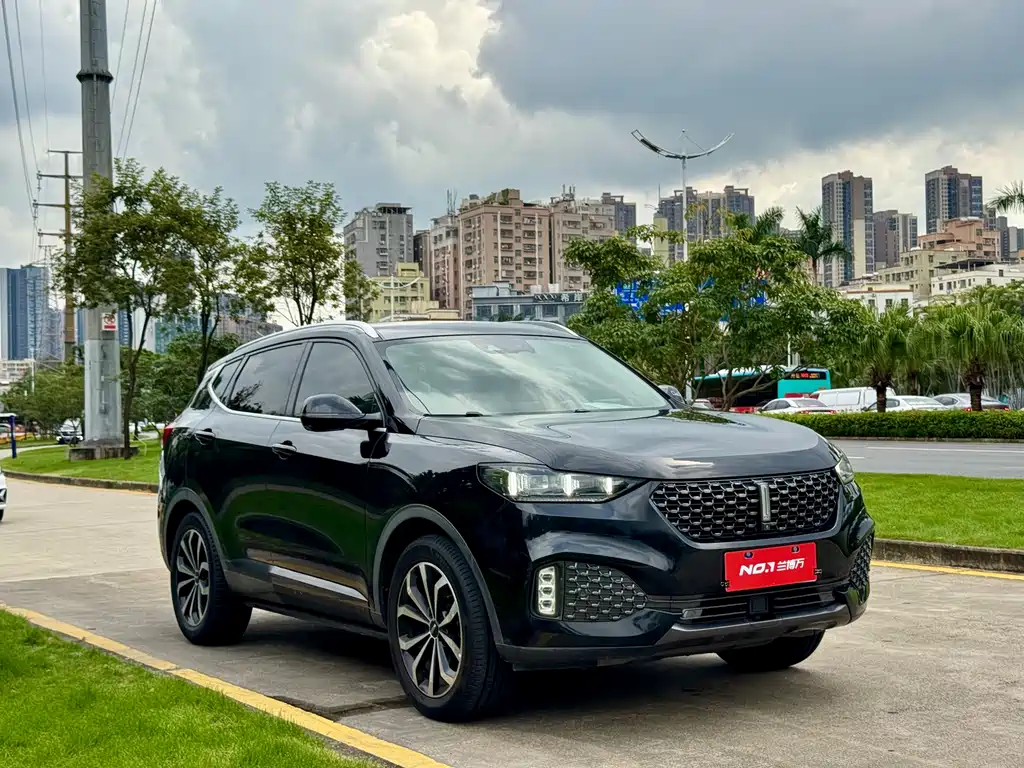 Wey VV6 2019