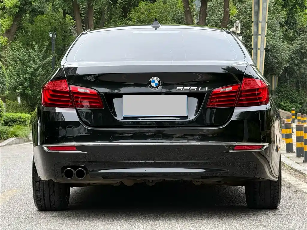 BMW 5 Series 2014